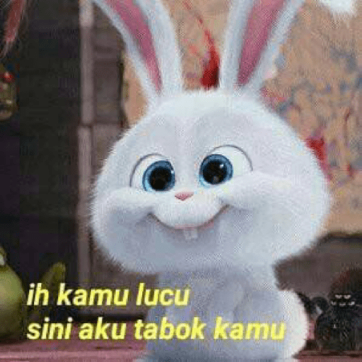 Kelinci lucu 3