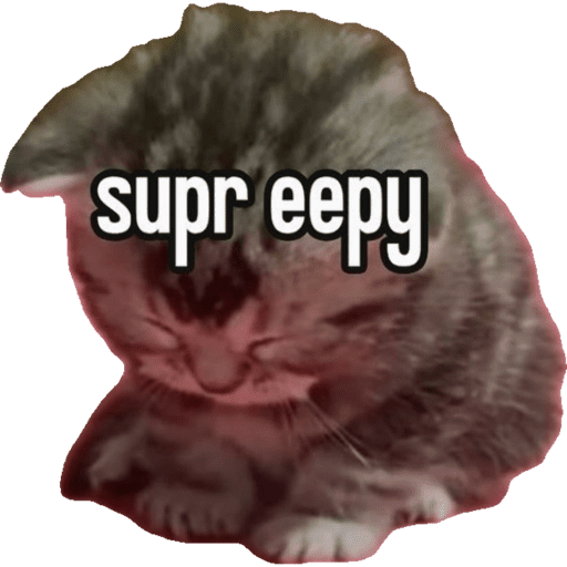 Cats 10