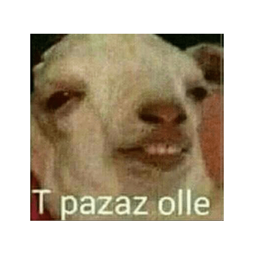Groserias 22