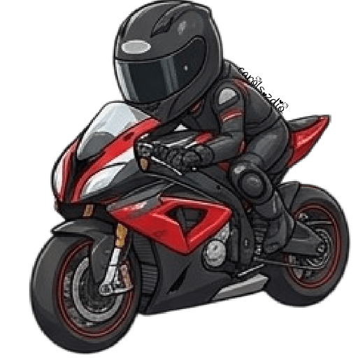 🏍️ Motociclistas 🛣️🏍️ 3