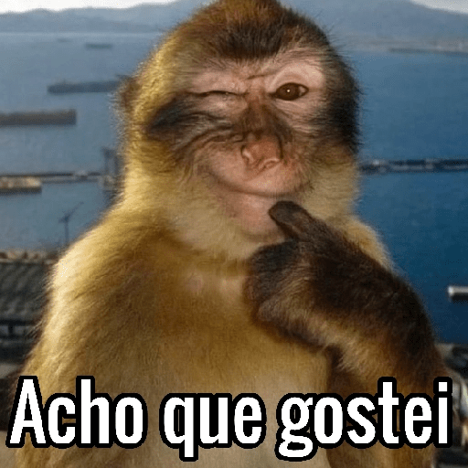 Macacos Engraçados😂🐒 14