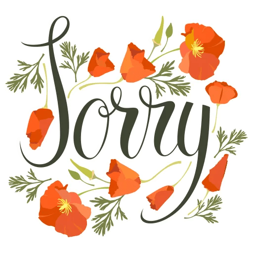 Sorry 15