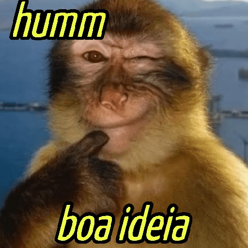 Macacos Engraçados😂🐒 7