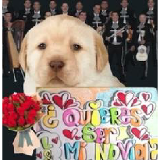 Quieres ser mi novio 1