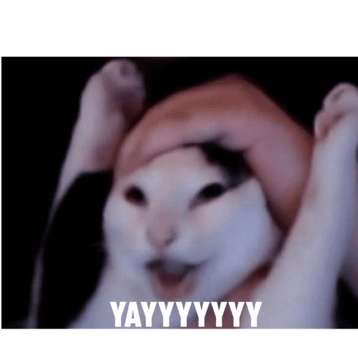 Cats 11