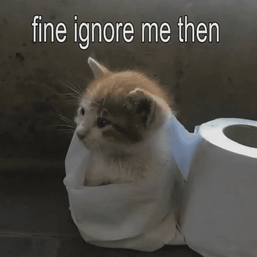 Cats 21