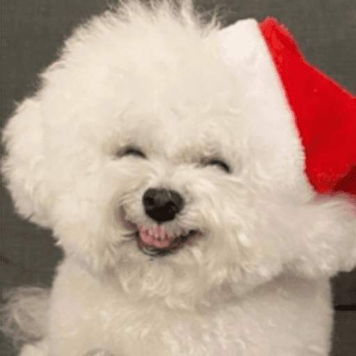 STICKERS PERRITOS NAVIDEÑOS🐶🎄 15