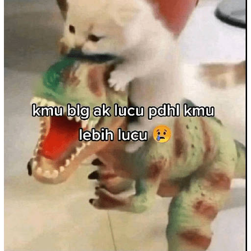 Kucing bucin 17