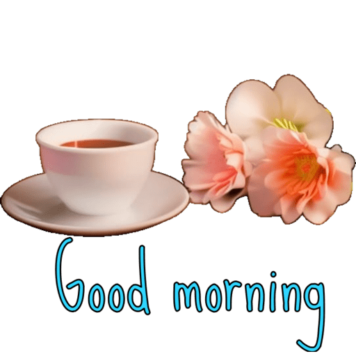 Good morning  1