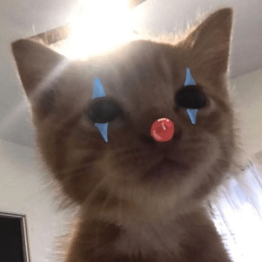 Kucing-Kucingan Lagi 14