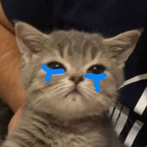 Kucing-Kucingan Lagi 12