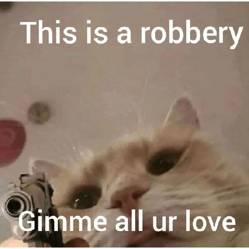 El gato 14