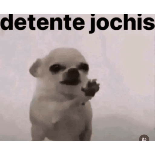 Xdd 20