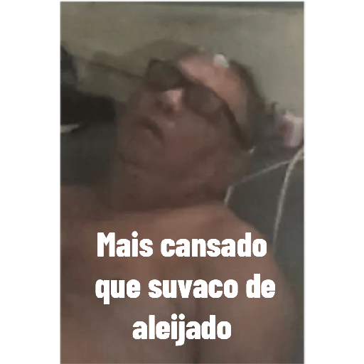 Figurinhas da dina 10
