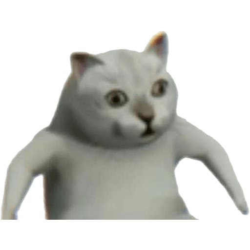 El gato 26