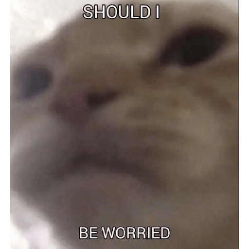 El gato 13