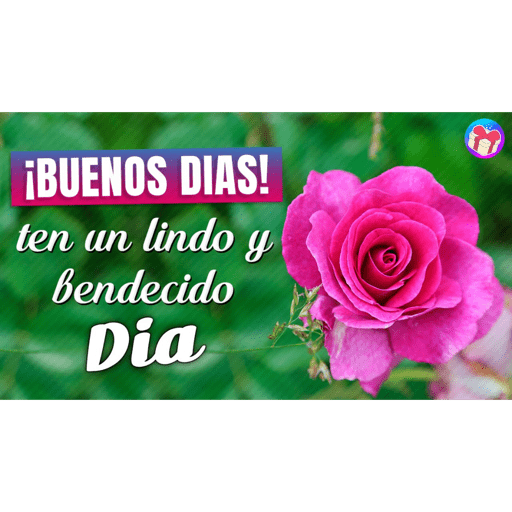 Buenos Días  8