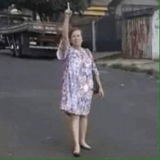 Gatinho fofoqueiro 25