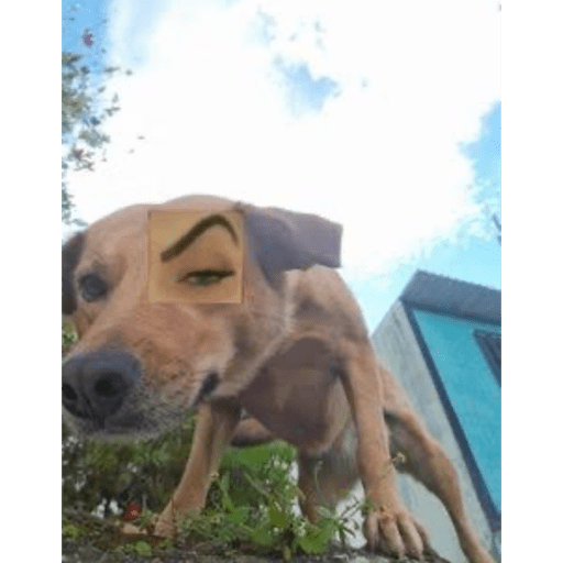 Xdd 10