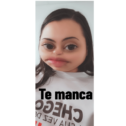 Figurinhas da dina 12