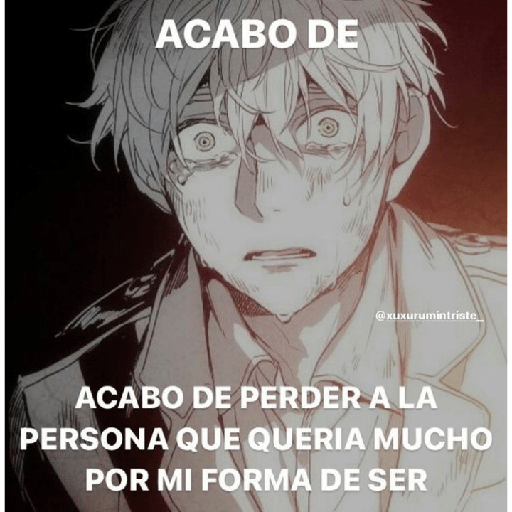 Fino señores 17