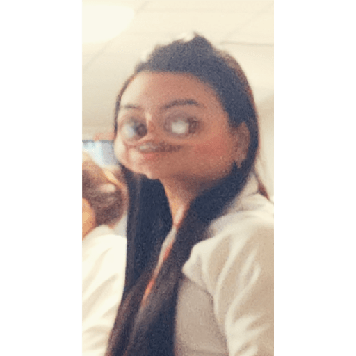 Figurinhas da dina 13