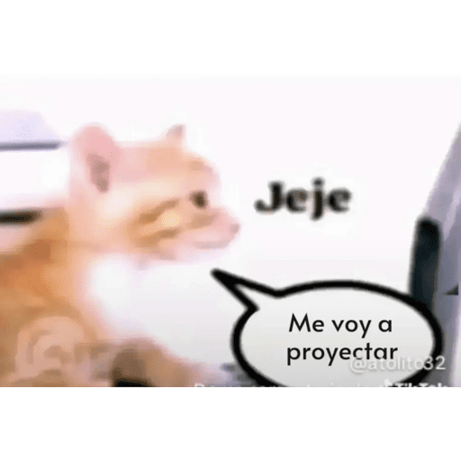 Xdd 19
