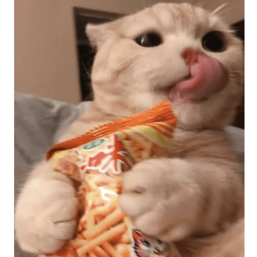 Gatitos comiendo dulces  24