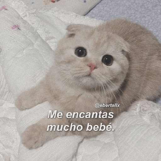 Gatitos 9