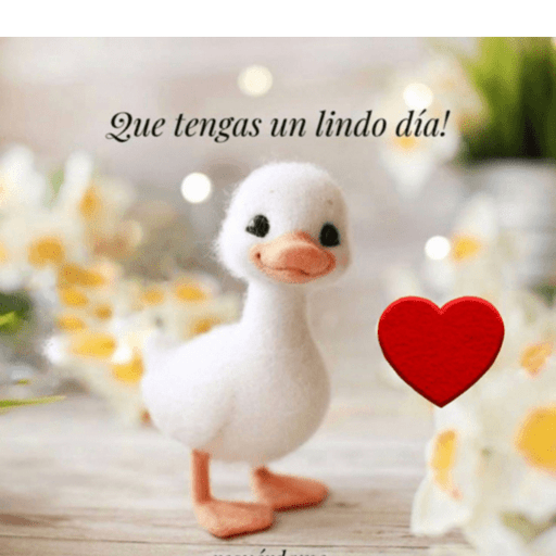 Buenos Días  3