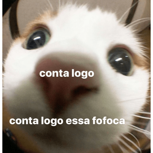 Gatinho fofoqueiro 1