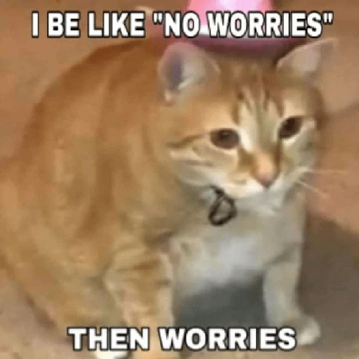 El gato 17
