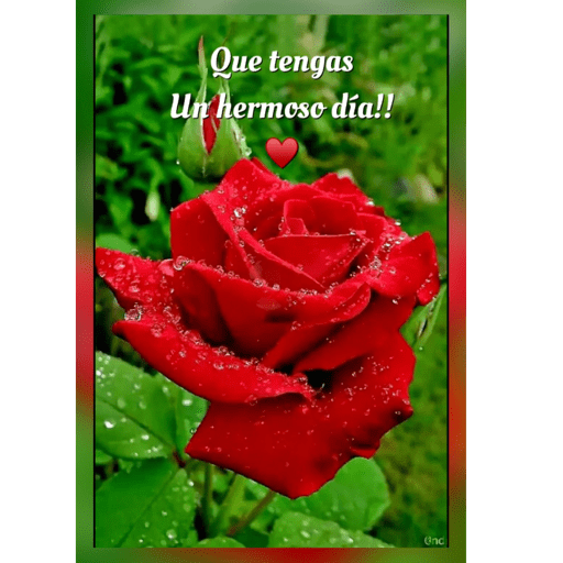 Buenos Días  5