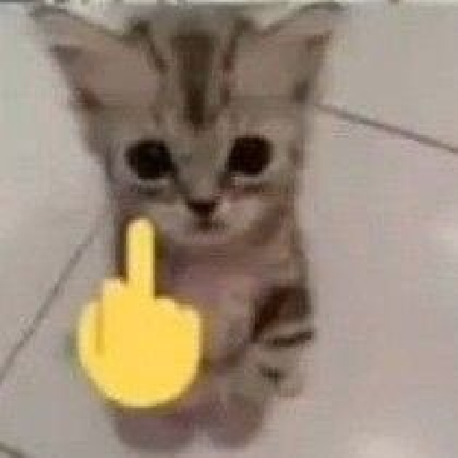 El gato 23