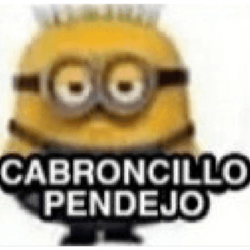 Xdd 11