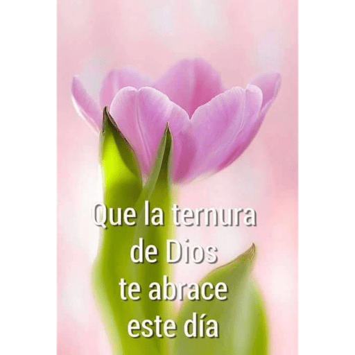 Buenos Días  6