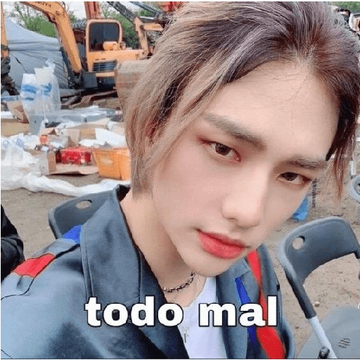 🥟 ¡ Hyunjin ! ★ 23
