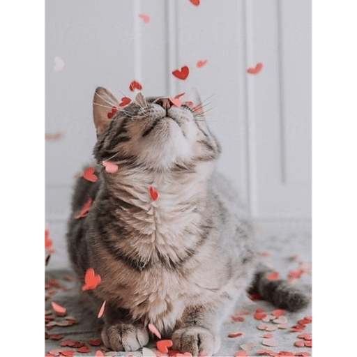 Michis 🐱 20