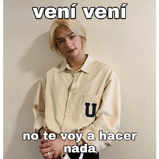 🥟 ¡ Hyunjin ! ★ 24