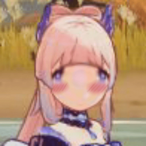 Kokomi 24