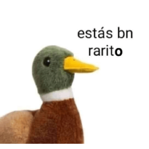 NOMEMESPARTETRES👍🏼 5