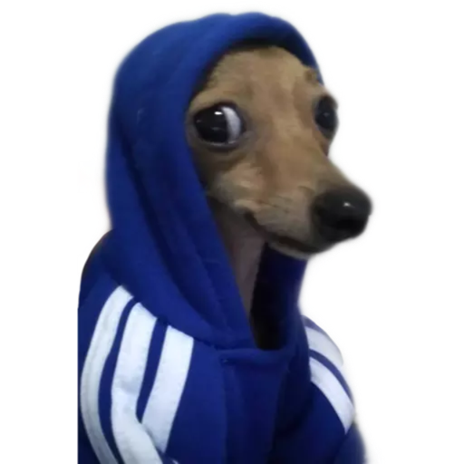 ANIMAIS 2