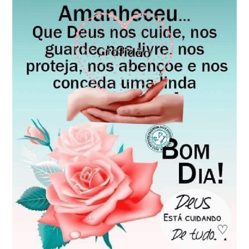 BOM DIA  6