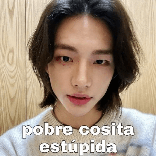 🥟 ¡ Hyunjin ! ★ 17