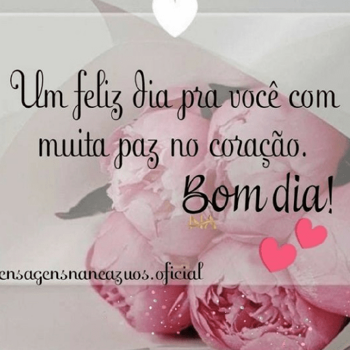 Olá 7