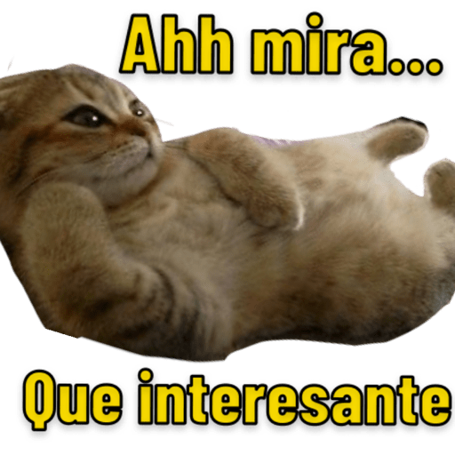 Michis 🐱 28
