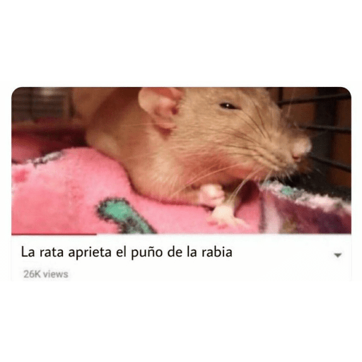 Manzana 17