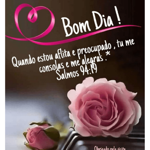 Olá 6