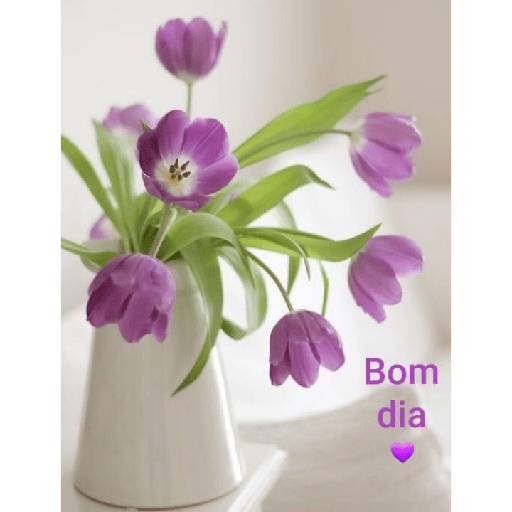 BOM DIA  4