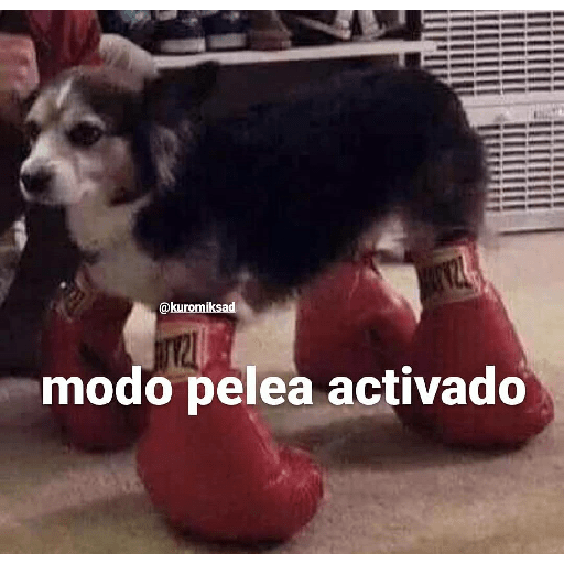 Manzana 27